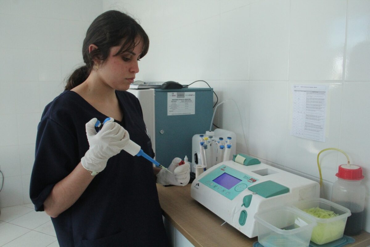 atendimento clínico pet Barueri saúde animal