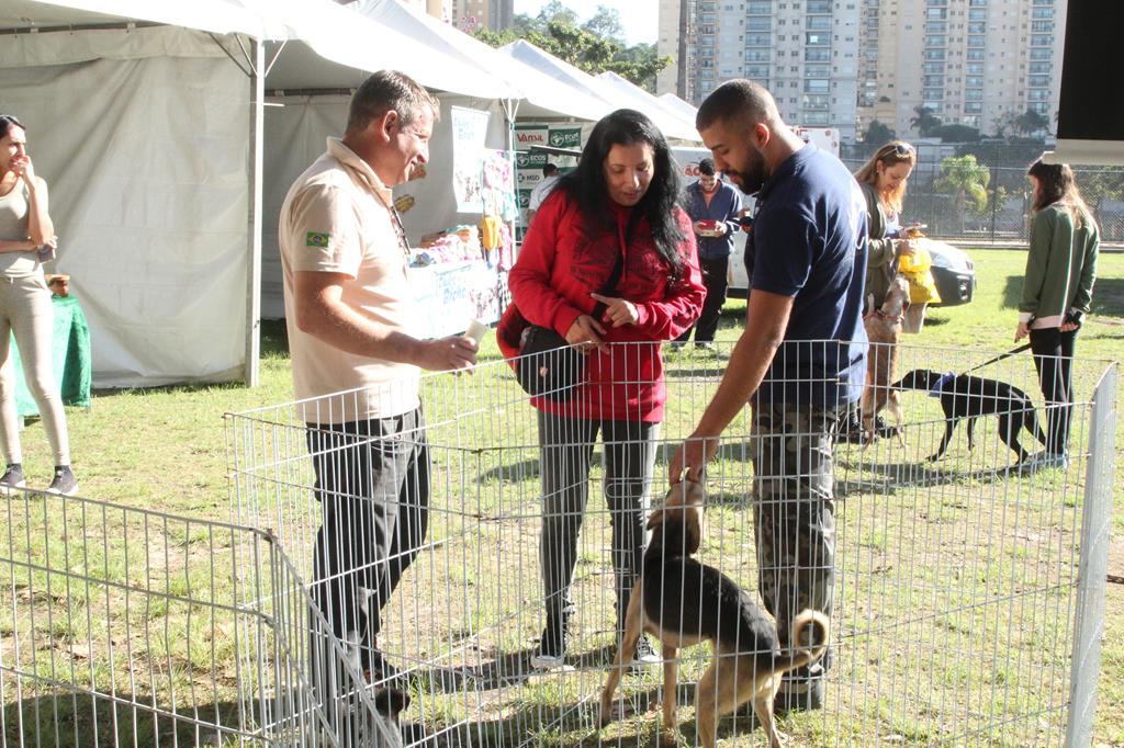 adoção de pets Barueri Alphaville
