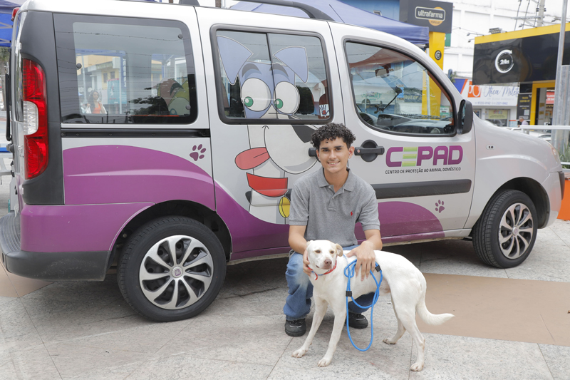 Alphaville terá 5 dias de feira de adoção de pets em fevereiro