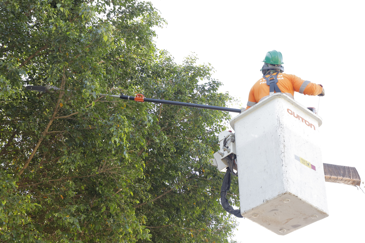 Novo modelo de gestão de arborização urbana é iniciado em Barueri