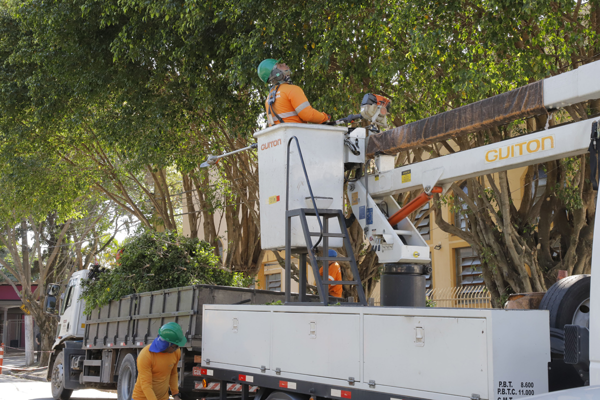 Novo modelo de gestão de arborização urbana é iniciado em Barueri