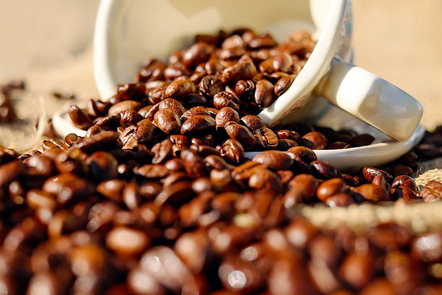 Rotas do Café reúne 57 atrativos turísticos ligados ao grão