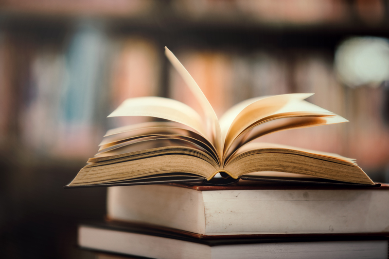 Feira do Livro 2025 terá distribuição de livros e rodas de conversa