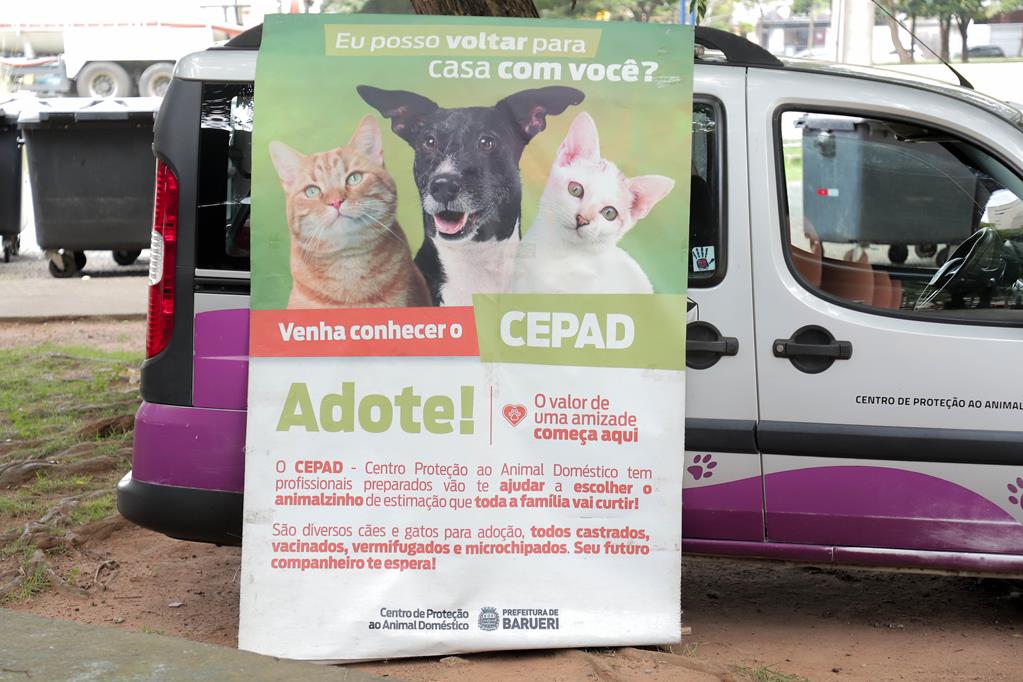 Feiras de adoção de pets de abril começa no dia 1º em Barueri