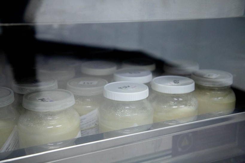 Doação de leite materno em Barueri ajuda a salvar bebês prematuros