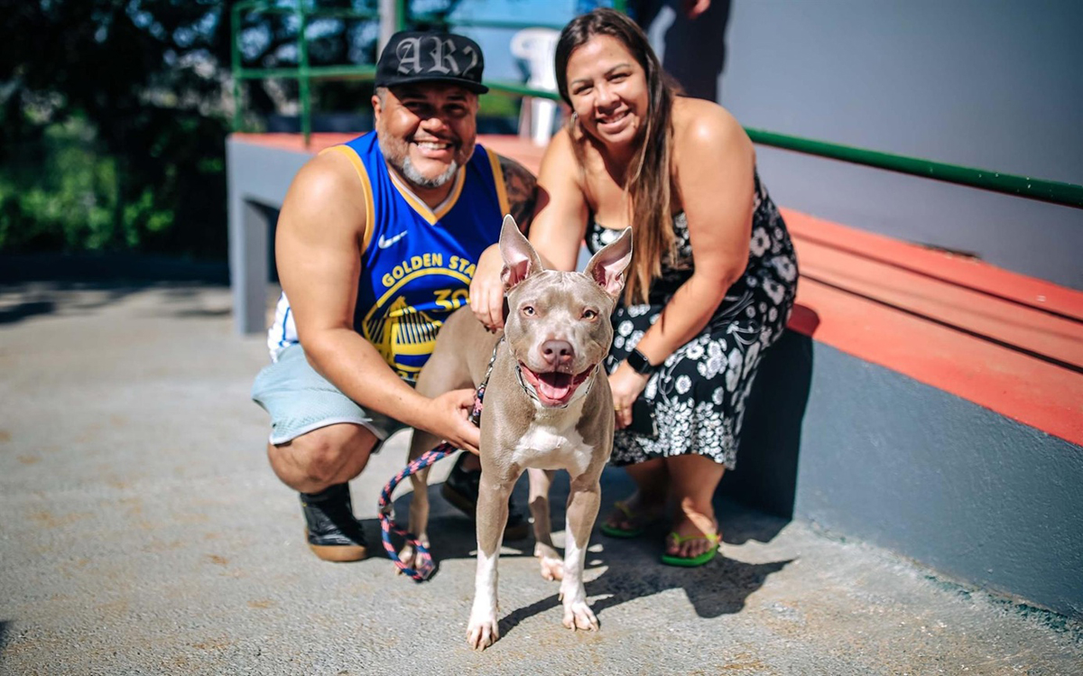 Saúde animal: Parnaíba oferta consultas gratuitas em clínicas credenciadas